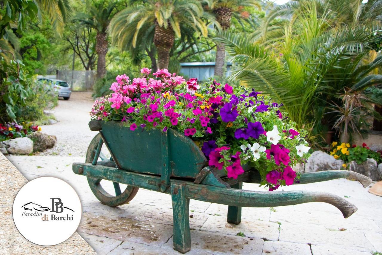 Agriturismo Paradiso Di Barchi Villa Terracina Buitenkant foto