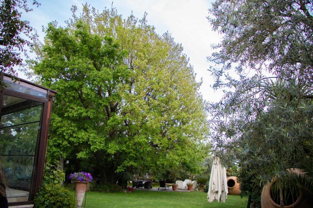 Agriturismo Paradiso Di Barchi Villa Terracina Buitenkant foto